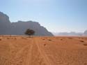 Wadi Rum es famoso debido a las aventuras de T.E Lawrence (Lawrence de Arabia)