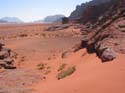 Wadi Rum. Conviene no olvidarse el repelente para insectos, las moscas son pesadisimas