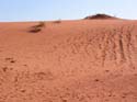 Wadi Rum